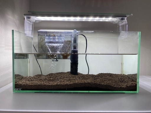 飼育セット海水、淡水
