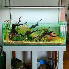 【水槽関連】120㎝　オールガラス水槽単品