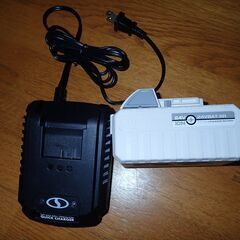 充電式 電動スノーショベル　Snow Joe 24V-SS11-XR