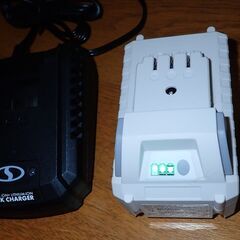 充電式 電動スノーショベル　Snow Joe 24V-SS11-XR