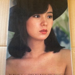 【GO-255】山本みどり 写真集 マイク岡田 特撮 ビーイング