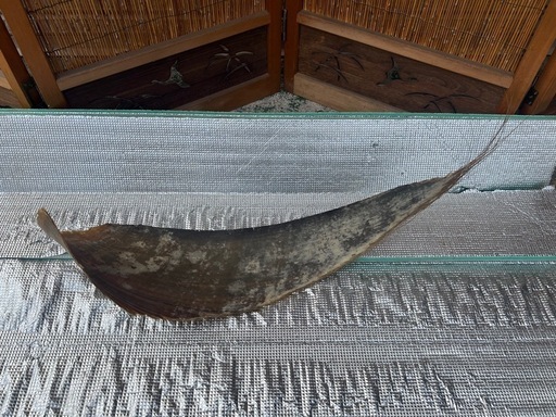【GO-262】クジラ 鯨 ヒゲ 髭 置物 海洋生物