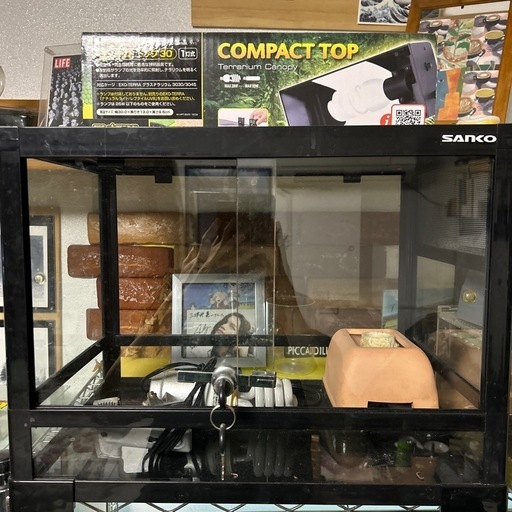 爬虫類ゲージ