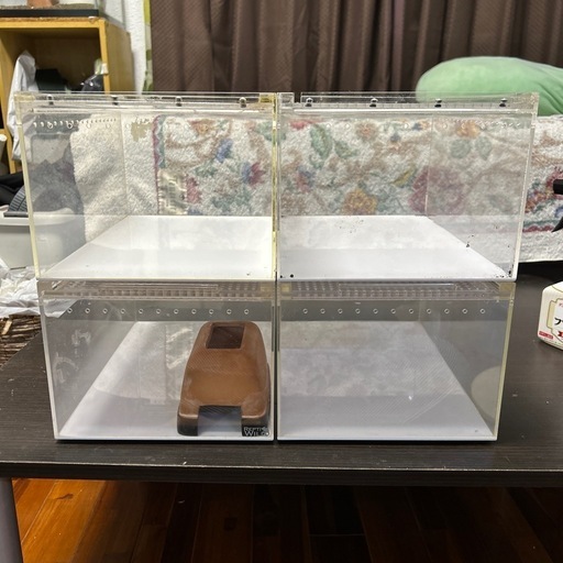 爬虫類　レプタイルボックス