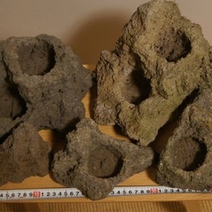 ADA 雲山石 大小5個セット