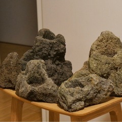 ADA 雲山石 大小5個セット 【公式通販】