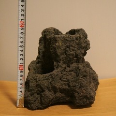 ADA 雲山石 大小5個セット