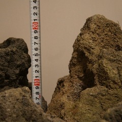 ADA 雲山石 大小5個セット