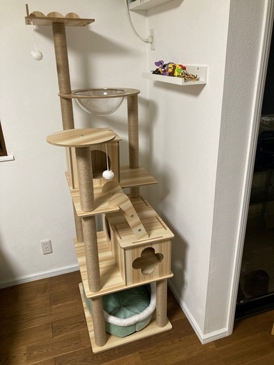 猫ちゃん お迎えセット　キャットタワー トイレ 爪とぎ フード各種