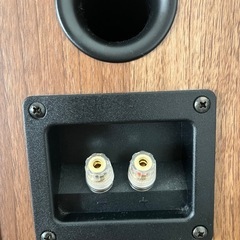 DALI ZENSOR1 スピーカー/スタンドセット