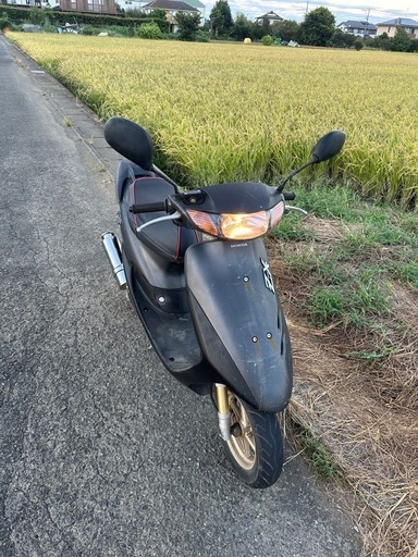 dio zx 中期型