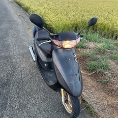 dio zx 中期型
