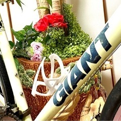 [受付終了]致しました[特価販売]GIANT ESCAPE R3 アルミフレ-ム.クロスバイク.F3 R8段式,タイヤ前後700-23C,28C、