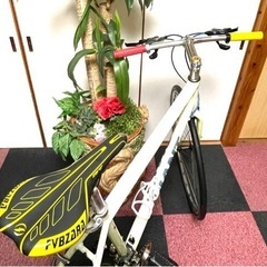 [受付終了]致しました[特価販売]GIANT ESCAPE R3 アルミフレ-ム.クロスバイク.F3 R8段式,タイヤ前後700-23C,28C、