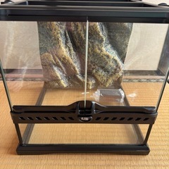 茨城県の爬虫類ケージの中古が安い！激安で譲ります・無料であげます  