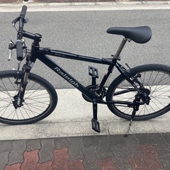 raleigh sw-d 26インチ