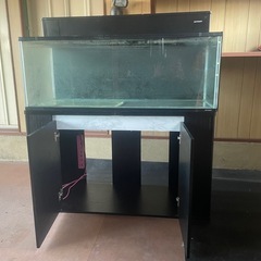 120×45×45水槽、水槽台、上部フィルター