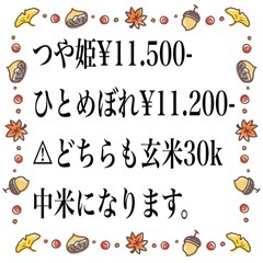 ひとめぼれ.つや姫　玄米30キロ