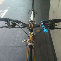 スポーツロード自転車 PINNARELLO TREVISO SPORT BIKE