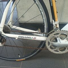 スポーツロード自転車 PINNARELLO TREVISO SPORT BIKE