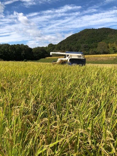 令和6年新米ヒノヒカリ30キロ