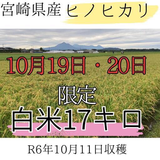 新米　白米　約17キロ　ヒノヒカリ　10袋限定　R6年10月11日収穫　(10月19日・20日限定)[予約受付中]