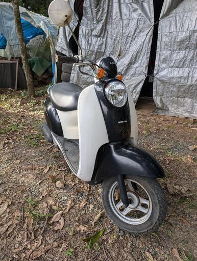 HONDA クレアスクーピー[AF55]　9140km自賠責2年付き 通学通勤や遊び用にいかがですか？