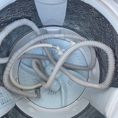 🌟2019年製TOSHIBA 洗濯機　7.0kg🌟