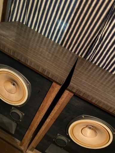 CORALスピーカー 大型 - スピーカー 