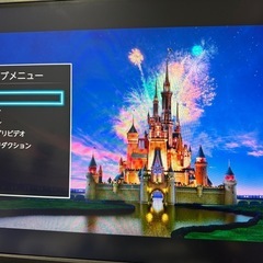 TOSHIBA REGZA 1TB ブルーレイレコーダー DBR-W1008相当 1TB  