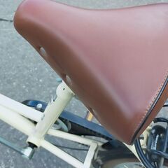 20インチ ペット乗せ自転車 ペットポーター 丸石サイクル 3段切り替え オートライト シティサイクル