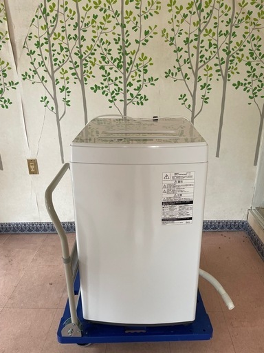 東芝 全自動洗濯機 4.5kg ピュアホワイト AW-45M5 W