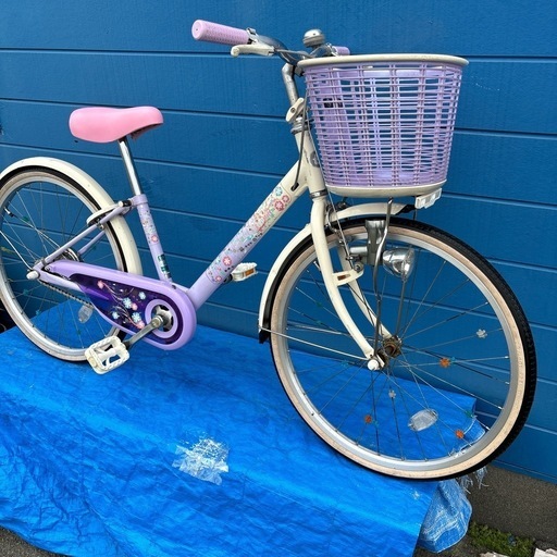 ECO PAL 22インチ