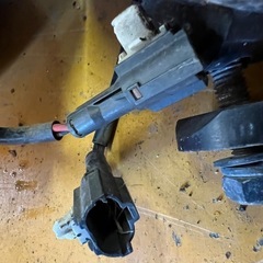 シビエ フォグランプ