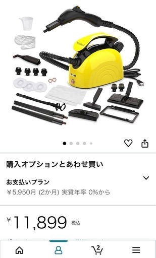 Waitbird スチームクリーナー