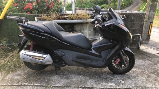 フォルツァ MF12 ①
