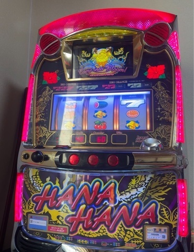 ドラゴンハナハナ30 5号機