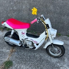 チンチラシート バイクの中古が安い！激安で譲ります・無料であげます｜ジモティー