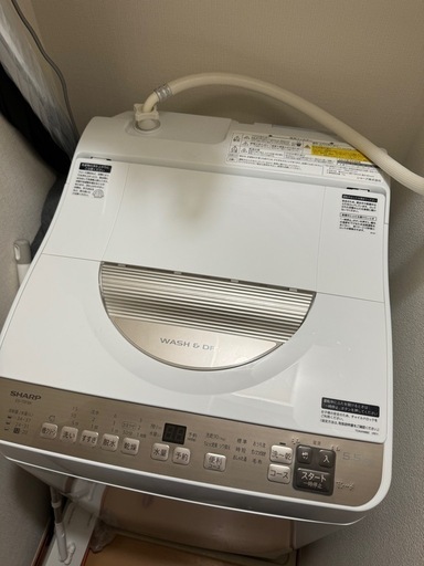 SHARP　縦型洗濯乾燥機 ゴールド系 ES-T5FBK-N [洗濯5.5kg /乾燥3.5kg /ヒーター乾燥 /上開き]