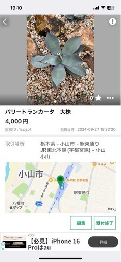 アガベドライガーデンセット！