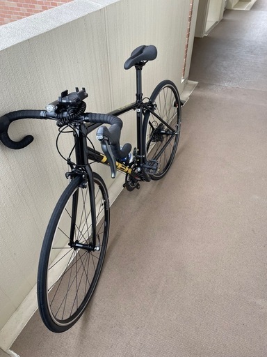 TREK DOMANE AL2 サイズ54