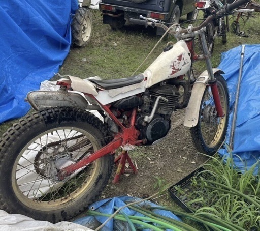 ヤマハ TY250