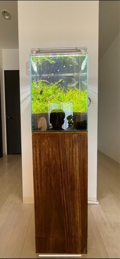 熱帯魚飼育セット