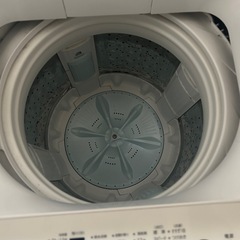 2023東芝10kg洗濯機