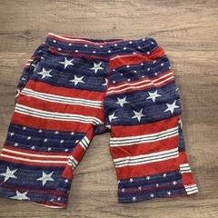 一枚の繪 『貨車と秋桜』 山崎貴稔 作品