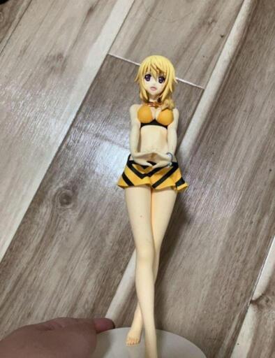 IS インフィニット・ストラトス シャルロット・デュノア 水着Ver．