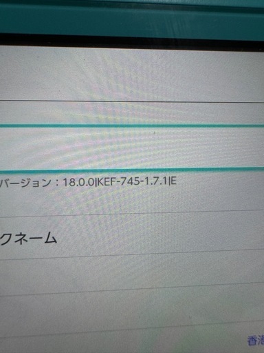 CFW導入済み Switch lite + 充電器 + Samsung 256g