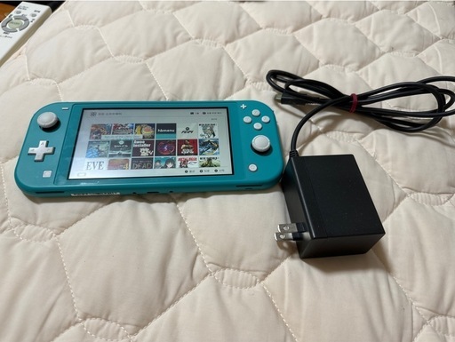 CFW導入済み Switch lite + 充電器 + Samsung 256g