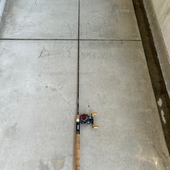 ベイト用 ダイワリール、竿セット