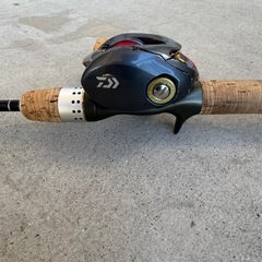 ベイト用 ダイワリール、竿セット